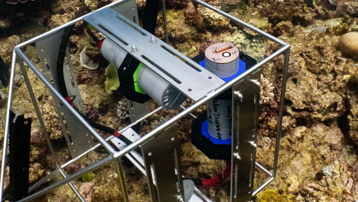 Bolstering in-water measurements with tourism operators on the Reef | AIMS